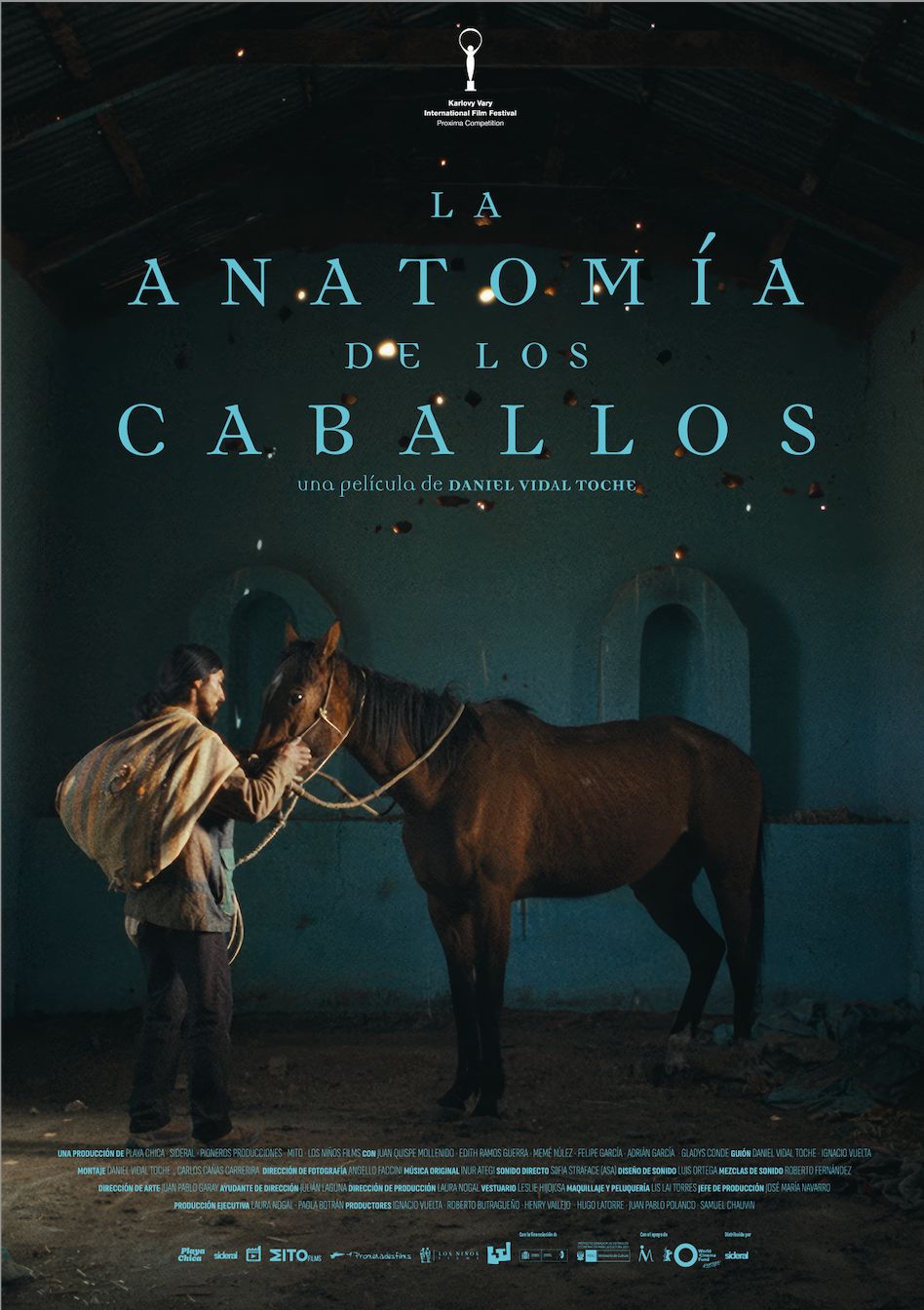 Poster-Anatomia-de-los-caballos